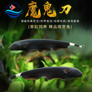 ħ�����~��ħ����ë���~ˮ�ݸןᎧ��ˮ�^�p�~���ǵ����~���w�~��