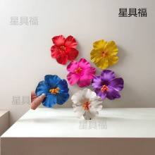 波西米亚氛围感边沙滩甜美发夹女扶桑花头花饰品夹子刘夹边垒德株