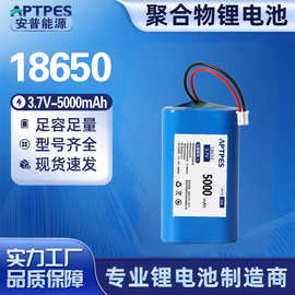 18650锂电池组3.7V宠物自动投喂机饮水机1S2P带板线5000mAh锂电池