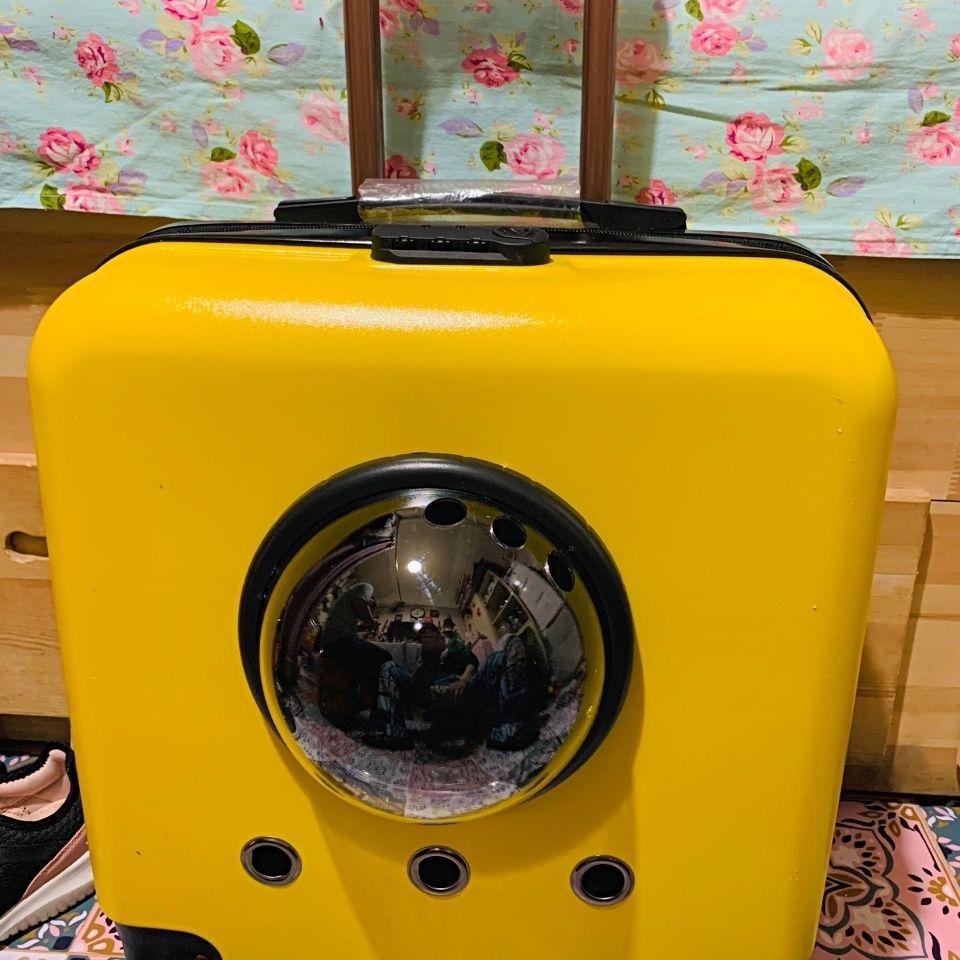 Box Space Capsule Pet Universal Wheel Dog Carrier Cat Outdoor Rolling Su Hong_voghion.com