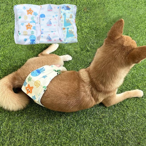 Amazon New Product Male Dog Diaper Menstrual Pants Tropical Ocean Color Shiba Inu Bichon Teddy Pet Menstrual Pants