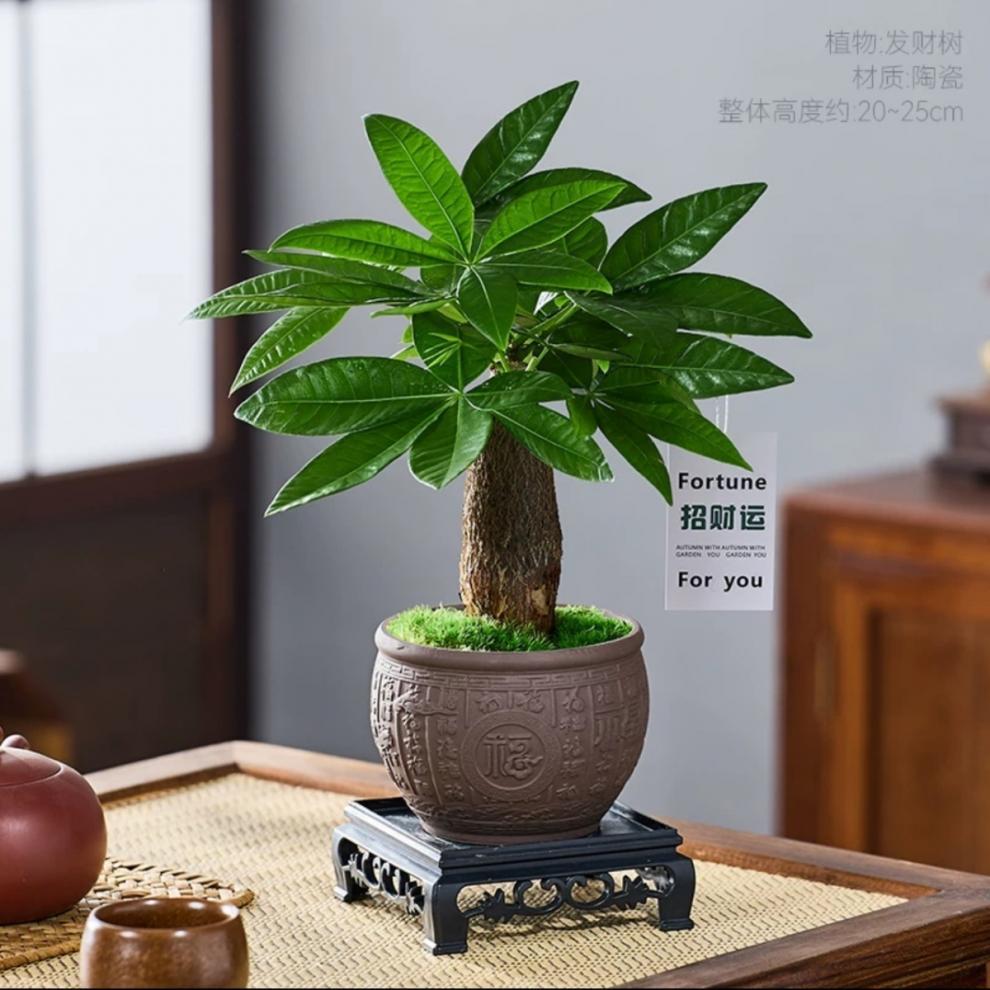 d5854a17-f3ef-4b4e-9dc3-537561724576.jpe