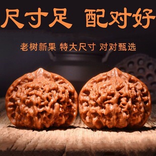 �������������������y���ñ�����Ǫ{���^ԭɫ���䌦�ߒ���Ʒ��