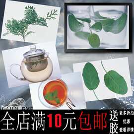 包邮花草茶茶叶原料茶文化图片海报客厅餐厅茶社装饰画相框墙壁挂