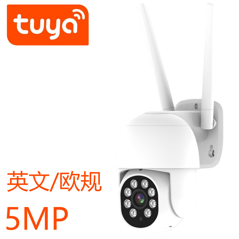 5MP graffiti al aire libre con puerto de red cámara al aire libre tuya inalámbrica 5 millones cámara de vigilancia de alta definición RJ45