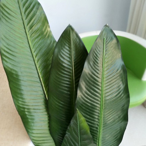 Simulated bird of paradise leaves