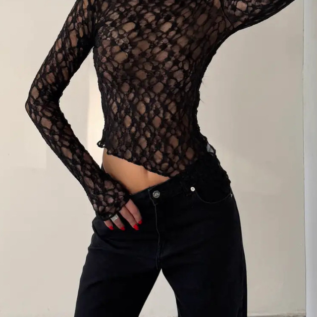 Cross-Border Temu European and American Style Lace Mesh Semi-Transparent High-Elastic Slim-Fit Women's Long-Sleeve Lace Top