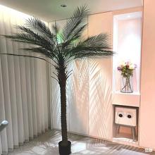 仿生椰子樹大型假樹熱帶海南裝飾盆景酒店造景仿真綠植針葵樹盆栽