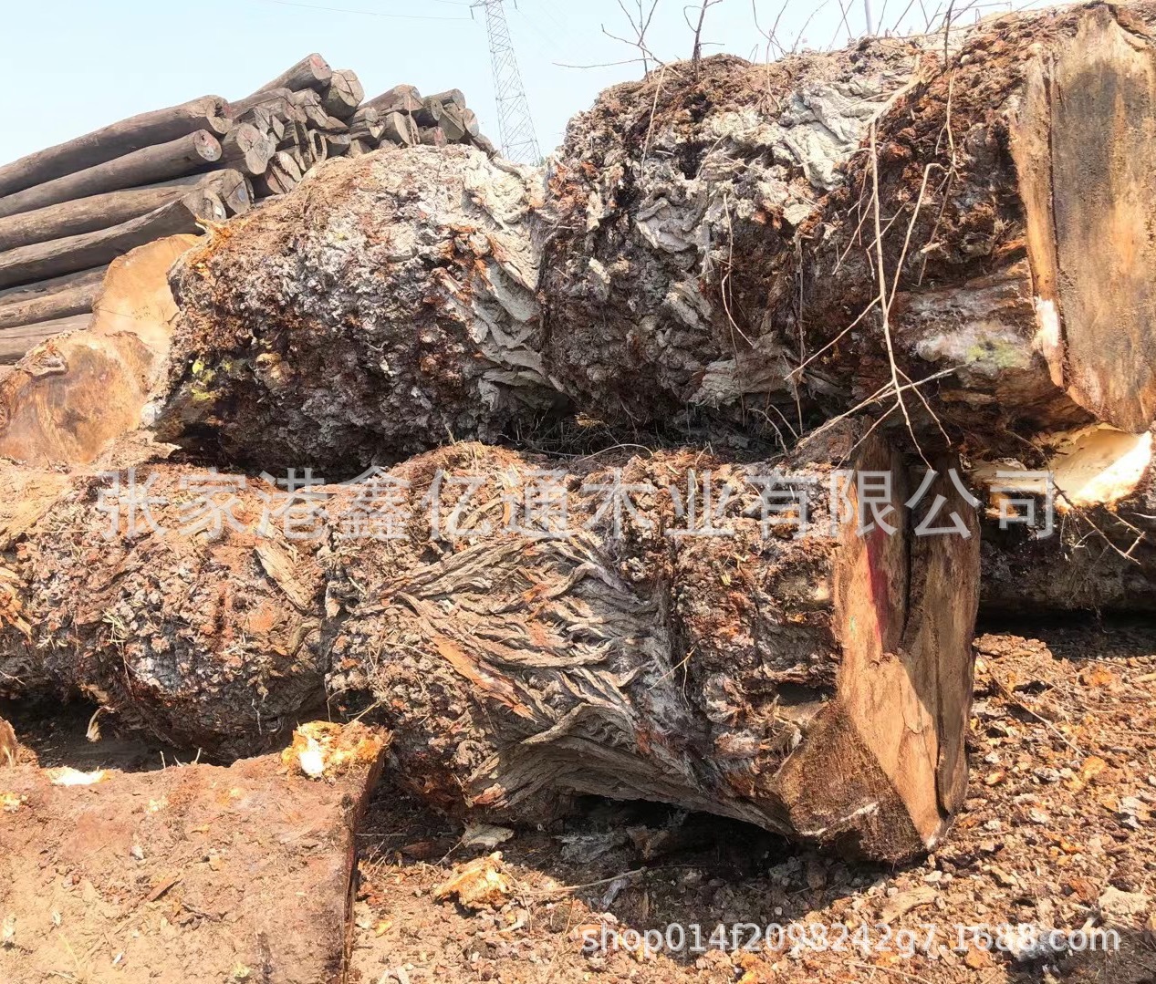 微信图片_20211015151455