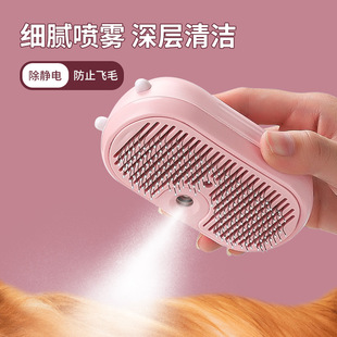 Cross-Border Choice Pet Spray Grooming Comb Rechargeable Cat Comb Dog Hair Removal Detangling Comb Pet Supplies