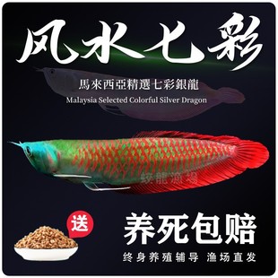 �߲��y���~���w���~��Ꭷ��ˮ�^�p�~�д�С���Lˮ�~�t���~�Ї�