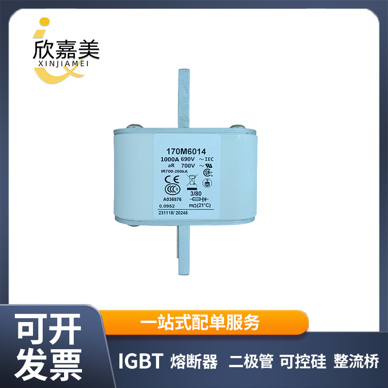 170M6149  快速熔断器 全新原装 电子元器件 库存充足 量大价优