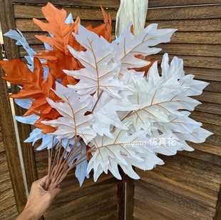 ��c���滨�������~�����~��Y�õ��Ŵ��·���廨�����������~��