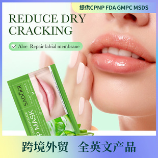 Full English Sadoer Aloe Vera Moisturizing Lip Mask Anti-Drying Care Lip Mask Cross-Border Foreign Trade Wholesale