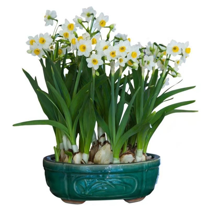 微信图片_20210809080155