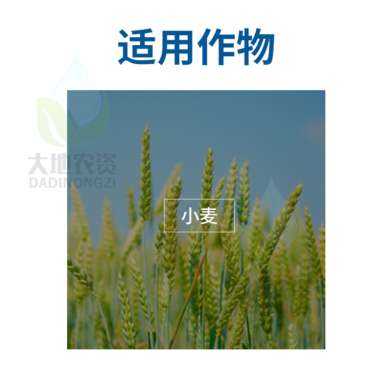 锐耙56%2甲4氯钠二甲四氯一年生阔叶杂草除草剂4g*20袋整箱链接