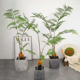 仿真猴头蕨金丝猴蕨马尾蕨绿植盆栽禅意造景装饰仿真绿植装饰