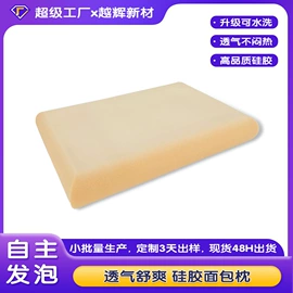 婴童枕芯;其他枕芯;功能枕