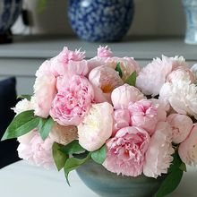 ɚͥĵ滨͏dbƷ[Yüٻ