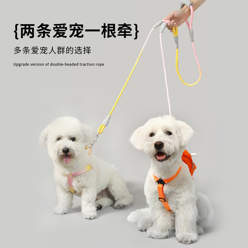 Pet Gradient para caminar una cuerda de tracción de dos cuerda de tracción anti-enredamiento de doble cabeza cuerda de tracción de perro cadena de perro