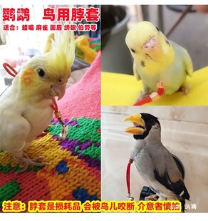 �W�^���w�K�B�ò��׻�Ƥ�W�^�˸������_�h��ü�S�ZϞ�첮�ڰ˸�