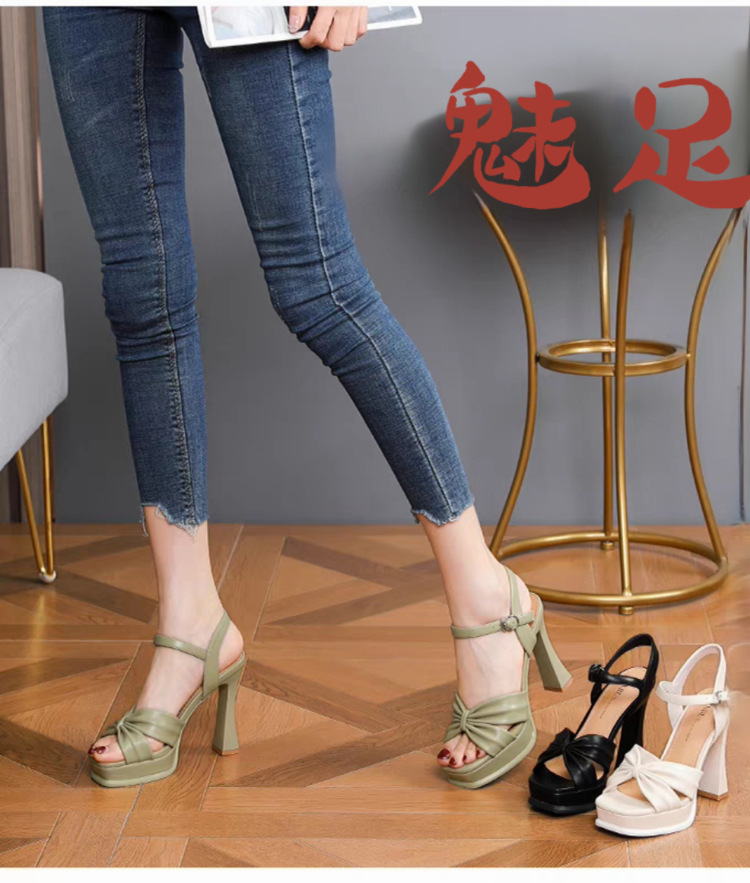 Women's High-Heeled 2024 Summer New Style High-End Chunky Heel Sandals With Waterproof Platform And Single Strap Buckle_vogvips.com