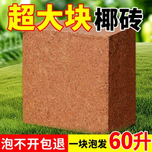 9���KҬ�u�I�B���B����Ҭ�Ӛ�����Ү�u�N������Ó�}Ҭ���u