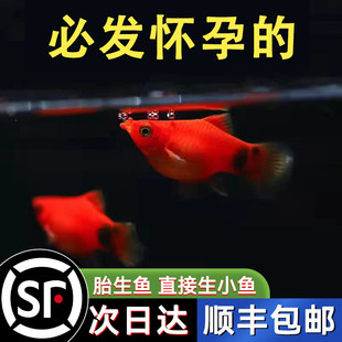 �����~ �¹��~ ̥���~ С���~ �^�p�~ �������] ���B�������~���]
