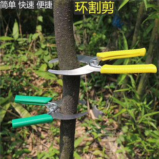 Ring Pruning Shears, Ring Cutter, Bark Stripping Branch Shears, High-Pressure Branch Grape Ring Pruning Shears, Bark Peeling Knife, Branch Shears, Ring Pruning Knife