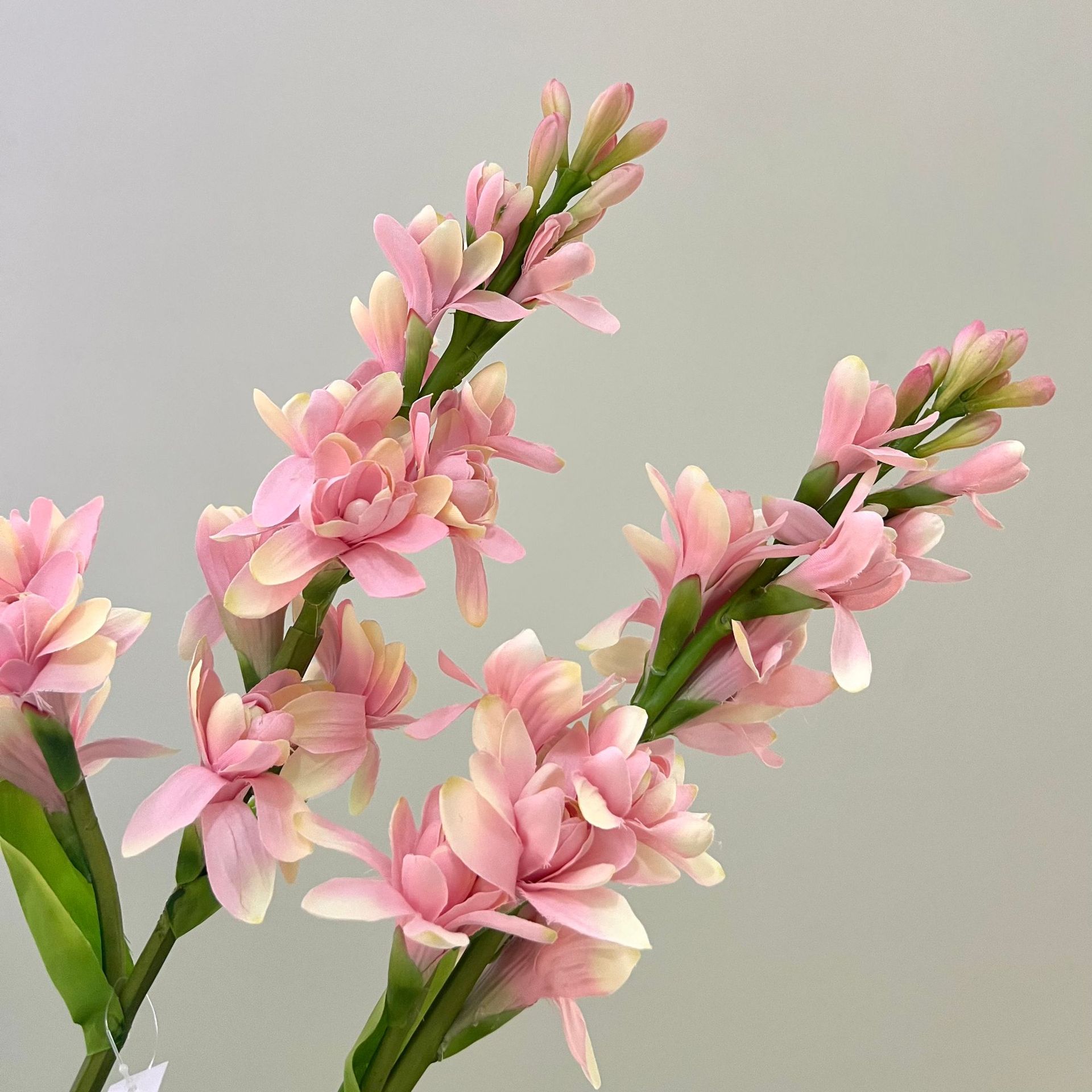 WeChat picture_20240613163155.jpg