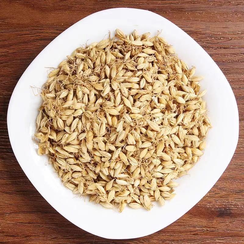 麦芽 中药材麦芽  里予生大麦芽 炒麦芽 生麦芽 大麦蘖、麦蘖