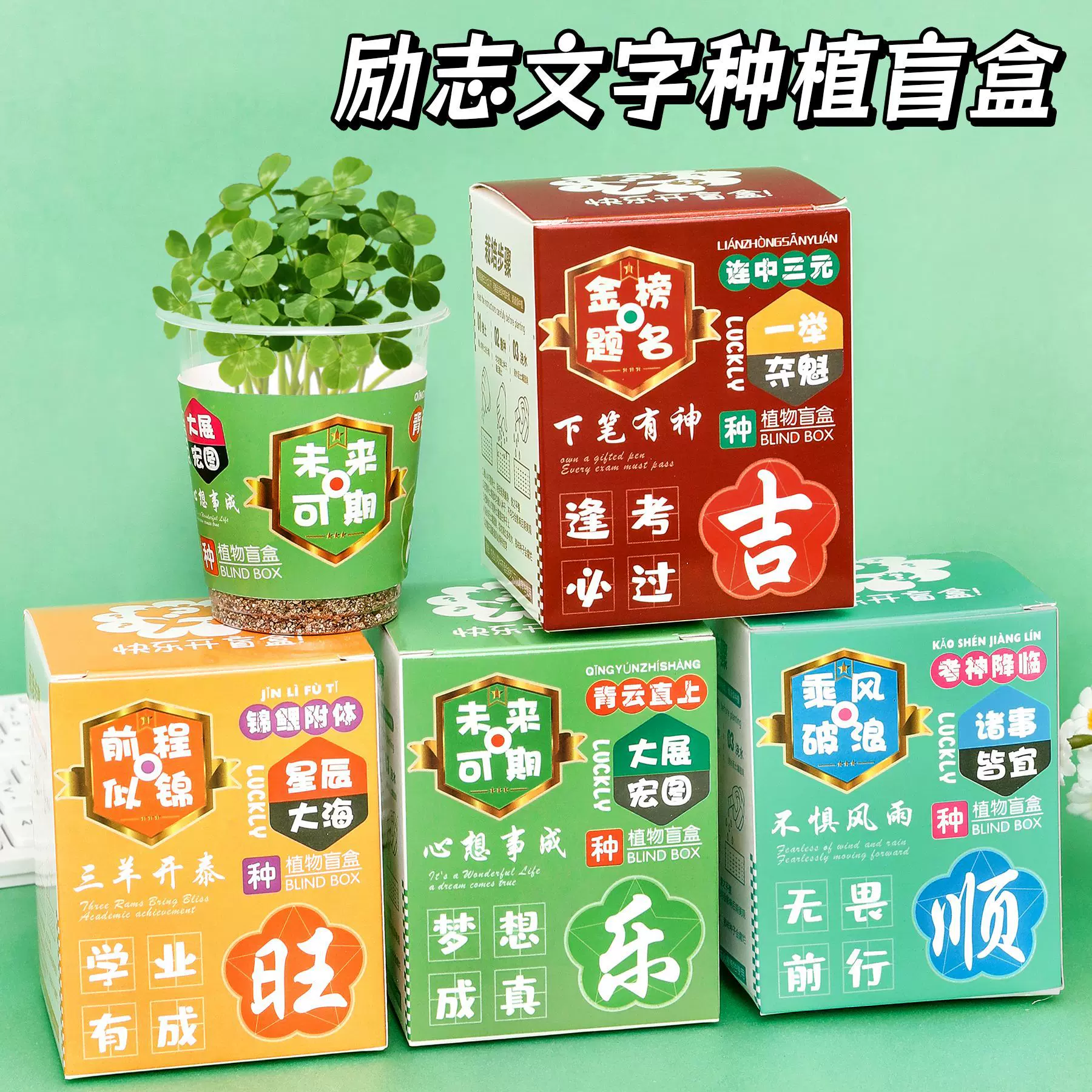 儿童励志文字种植盲盒幼儿园观察植物班级奖励小礼品学生小盆栽
