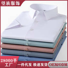 夏季透气桑蚕丝男士短袖新款纯色男式商务休闲职业衬衫男装衣服