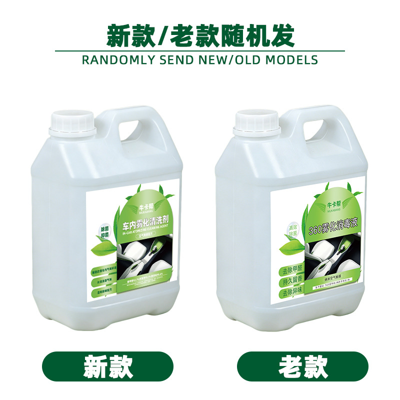 화이트