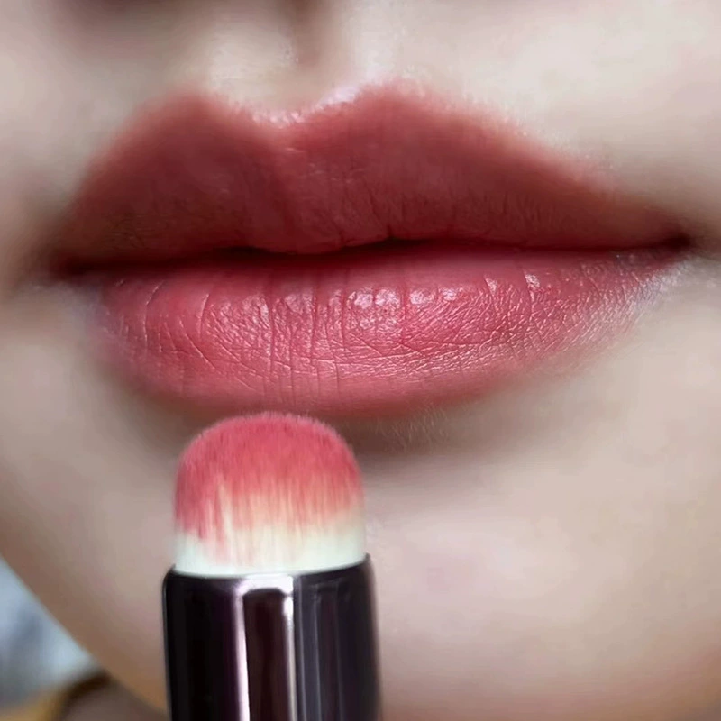 Lipstick, handheld concealer brush, lip care