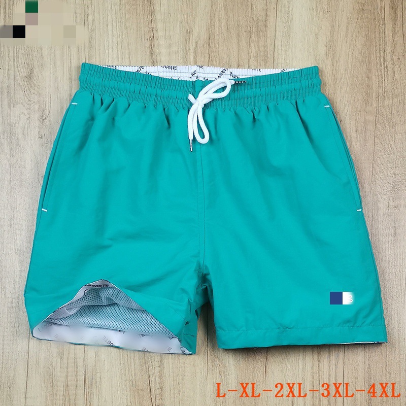 L304绿色_副本
