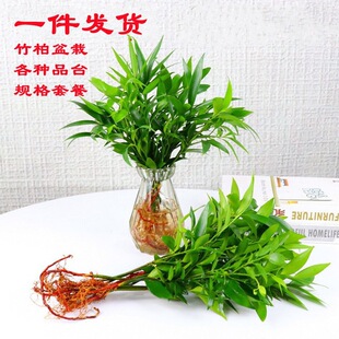 ˮ���������ظ��F��ˮ�Bֲ�҃ȿ͏d����Gֲ���Ի����ļ�����