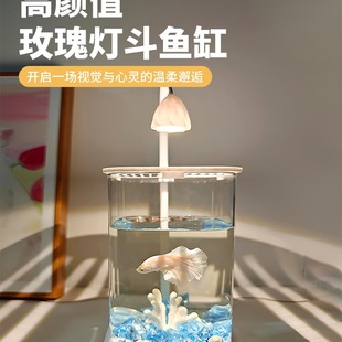 2025�¿�~��С�;W�t�����׿͏d�����^�p�~�쾰�k���ҹ�λ�~��