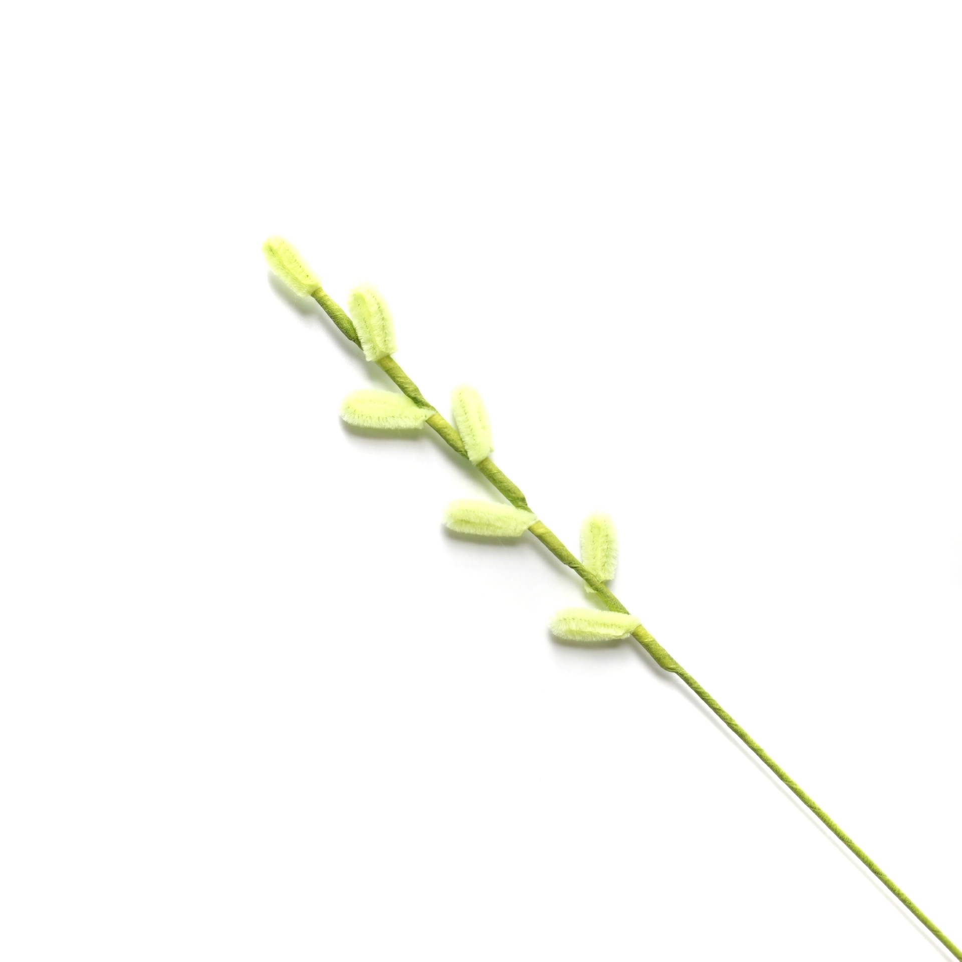 은버드나무 [형광황색]