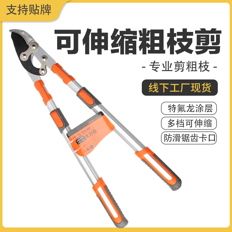 刘继强