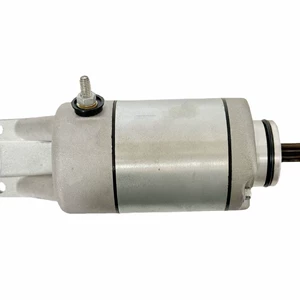 31100-46E00 Is Suitable for Honda Atv Starter Trx500Fa Starting Motor