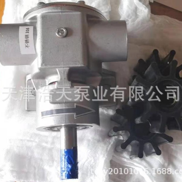 氯丁橡胶转子泵TDJA01 海水 污水 化工原料转子泵 柴油煤油转子泵