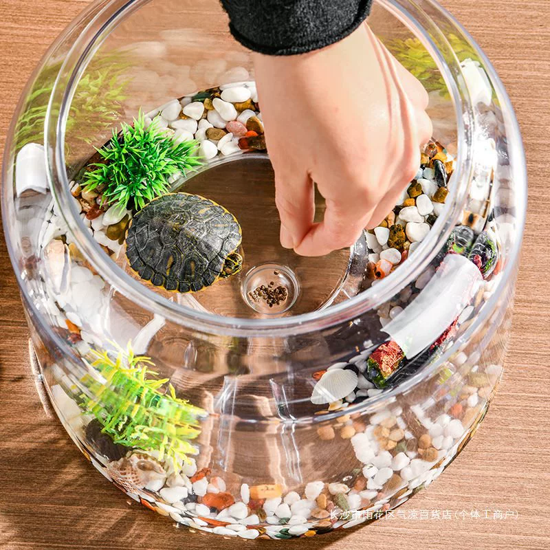 Plastic turtle breeding cylinder micro -landscape hood living room transparent lid lizard lizard climbing cylinder