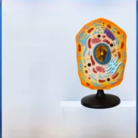 Qh3216-1 Модель клеточной ткани, школьное биологическое учение о клетке, инструмент для науки и образования