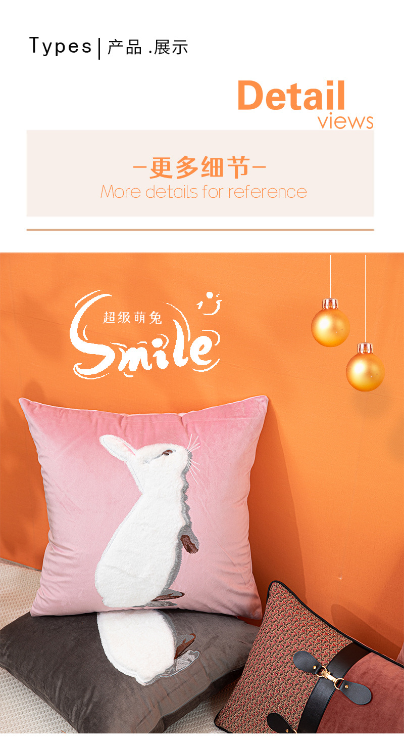 JY1122-125抱枕详情_11.jpg