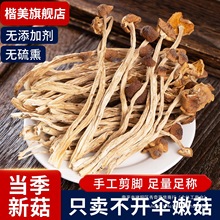 茶树菇干货甄选不开伞切根新货菌菇云南农家自产特产旗舰店