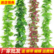 �����~�Gֲ�ٻ��b��ٗl��픾G���~���ړ�ˮ�ܵ�ֲ����������