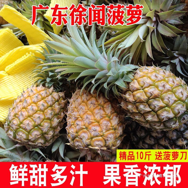 Guangdong Xiwen Pineapple Fruit 5kg Seasonal Fragrant Pineapple Fresh Pineapple Zhanjiang Small Pineapple Non-Yunnan Whole Box