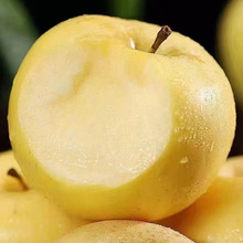 ������͸�ʿ�S�����͸�ʿ�����O�������oʳ�ЋDˮ���SԪ���O��