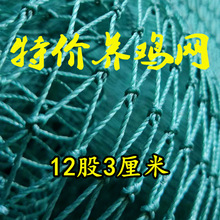 厂家批发养鸡网菜园拦鸡网养殖网果园围鸡网家禽尼龙网防鸟天网